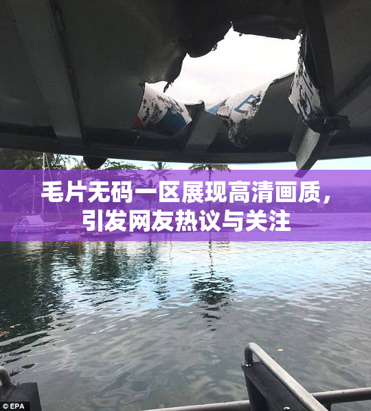 毛片无码一区展现高清画质，引发网友热议与关注
