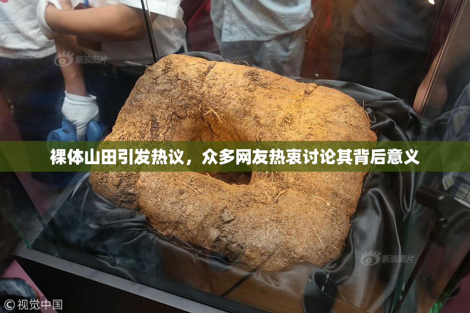 裸体山田引发热议，众多网友热衷讨论其背后意义