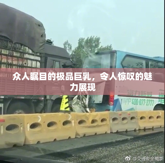 众人瞩目的极品巨乳，令人惊叹的魅力展现