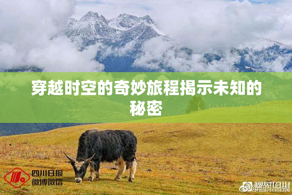 穿越时空的奇妙旅程揭示未知的秘密