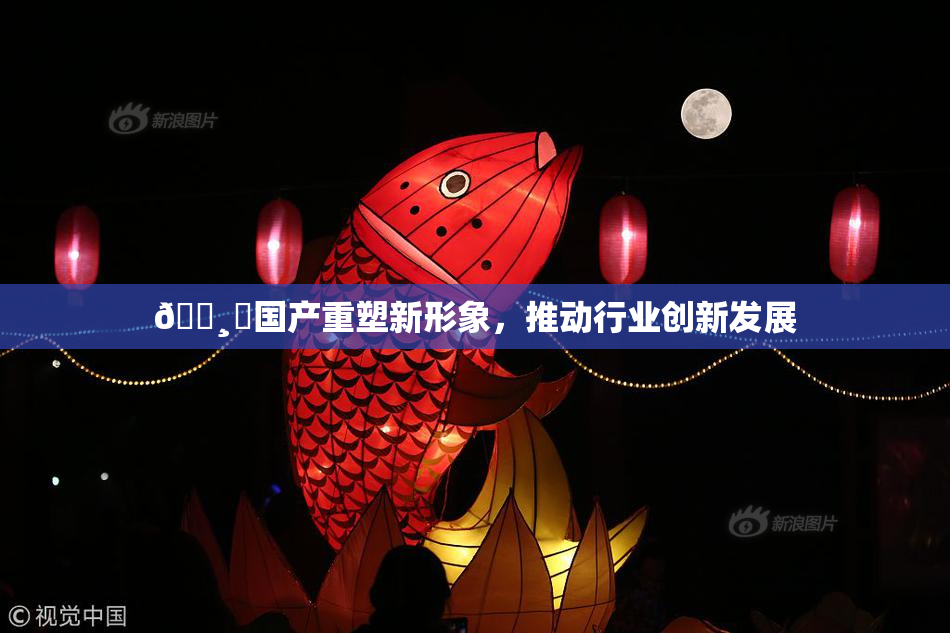 🌸‌国产重塑新形象，推动行业创新发展