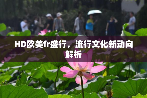 HD欧美fr盛行，流行文化新动向解析