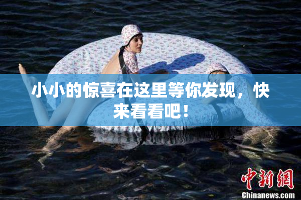 小小的惊喜在这里等你发现，快来看看吧！