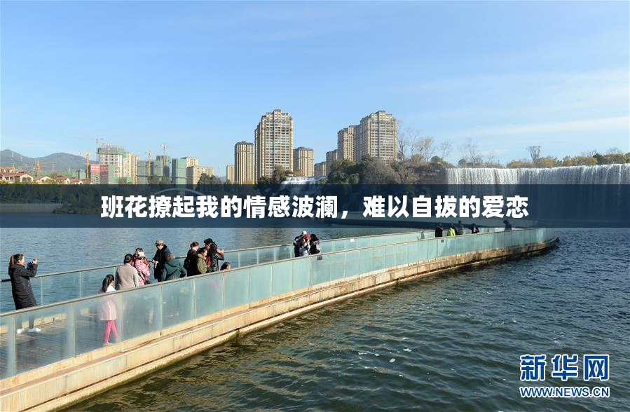 班花撩起我的情感波澜，难以自拔的爱恋