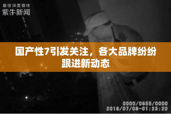 国产性7引发关注，各大品牌纷纷跟进新动态
