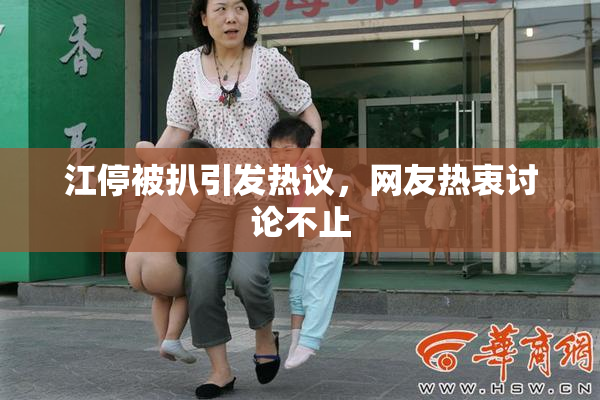 江停被扒引发热议，网友热衷讨论不止