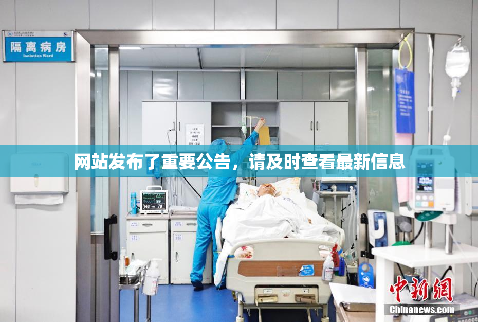 网站发布了重要公告，请及时查看最新信息