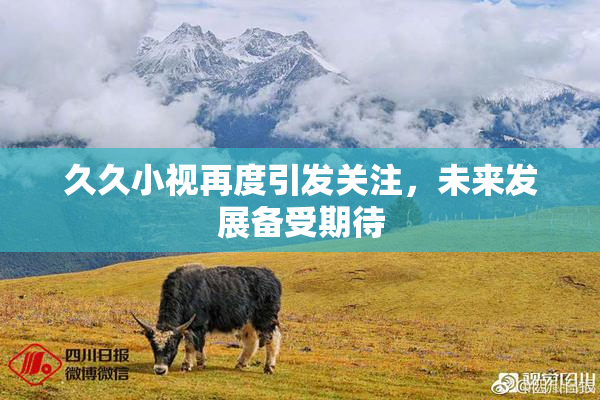 久久小视再度引发关注，未来发展备受期待