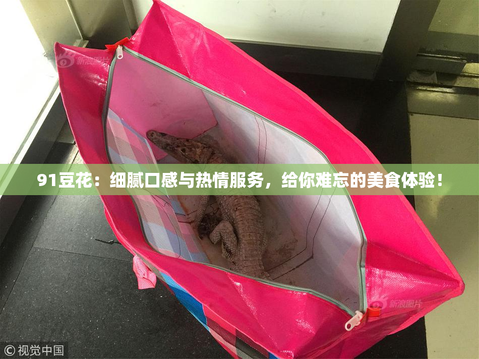 91豆花：细腻口感与热情服务，给你难忘的美食体验！