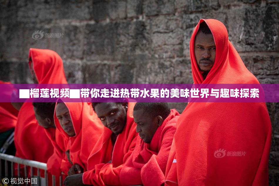 ▇榴莲视频▇带你走进热带水果的美味世界与趣味探索