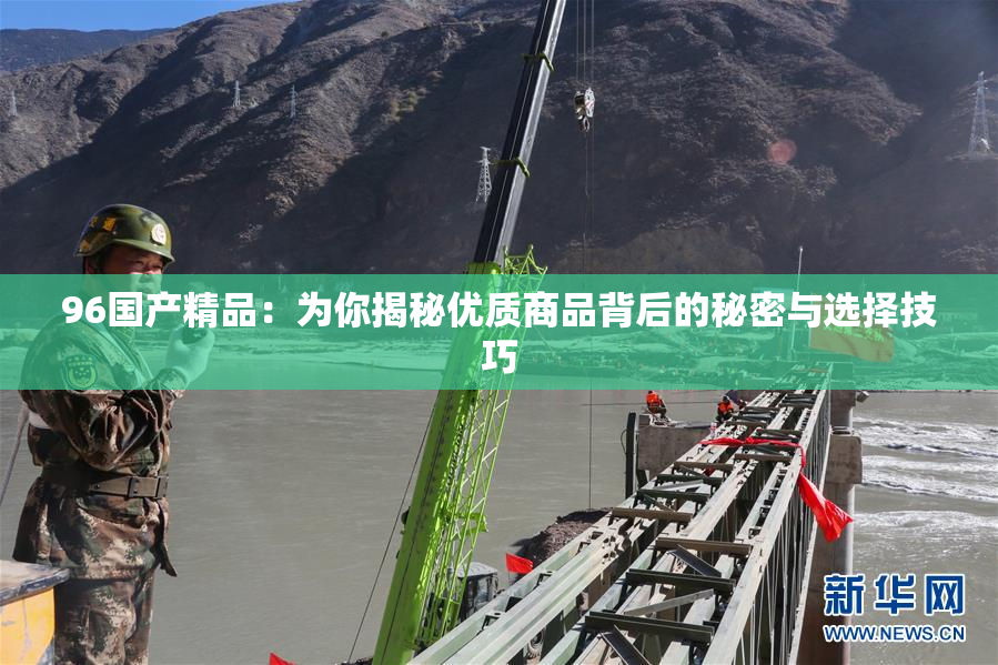 96国产精品：为你揭秘优质商品背后的秘密与选择技巧