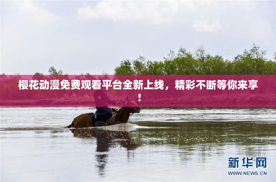 樱花动漫免费观看平台全新上线，精彩不断等你来享！