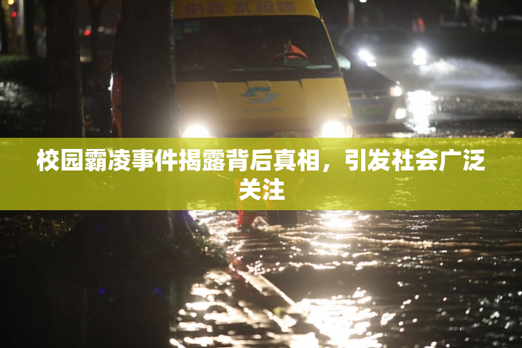 校园霸凌事件揭露背后真相，引发社会广泛关注