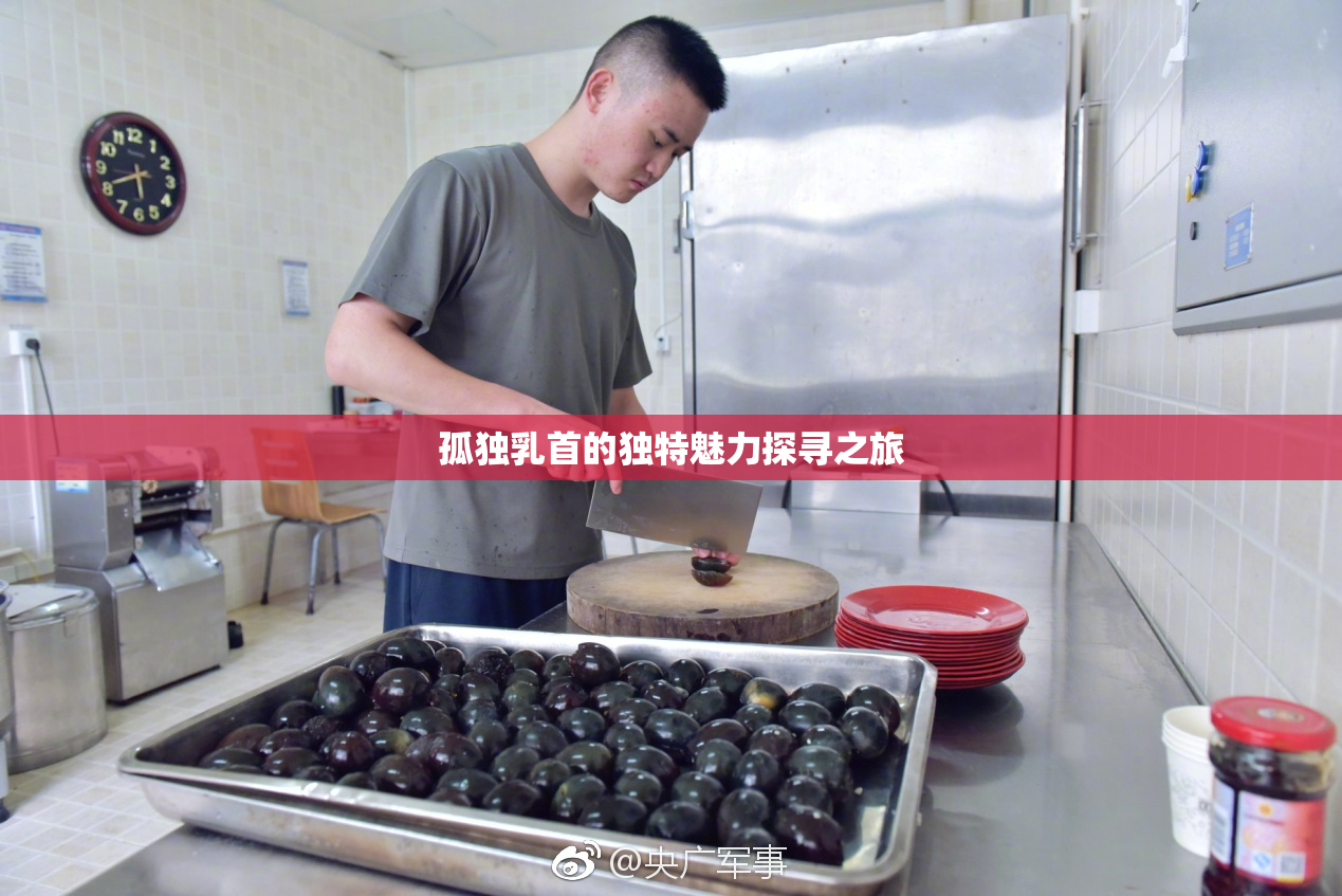 孤独乳首的独特魅力探寻之旅