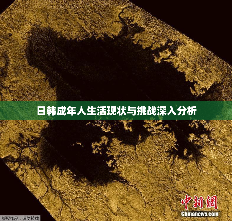 日韩成年人生活现状与挑战深入分析