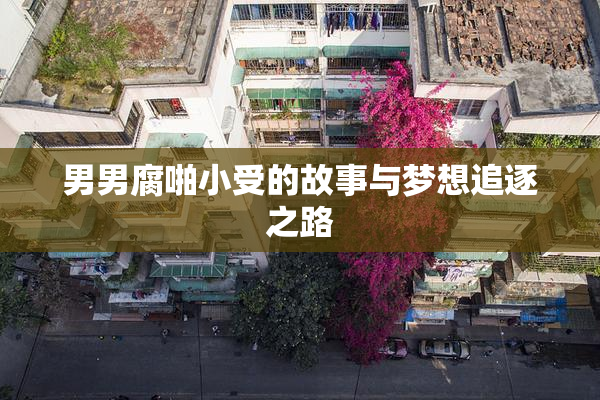 男男腐啪小受的故事与梦想追逐之路