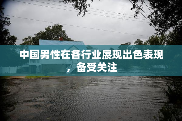 中国男性在各行业展现出色表现，备受关注