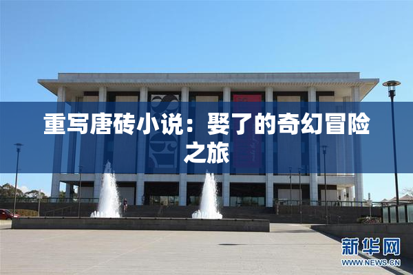 重写唐砖小说：娶了的奇幻冒险之旅