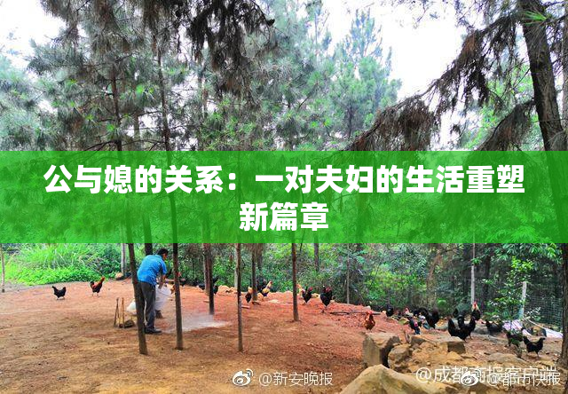 公与媳的关系：一对夫妇的生活重塑新篇章