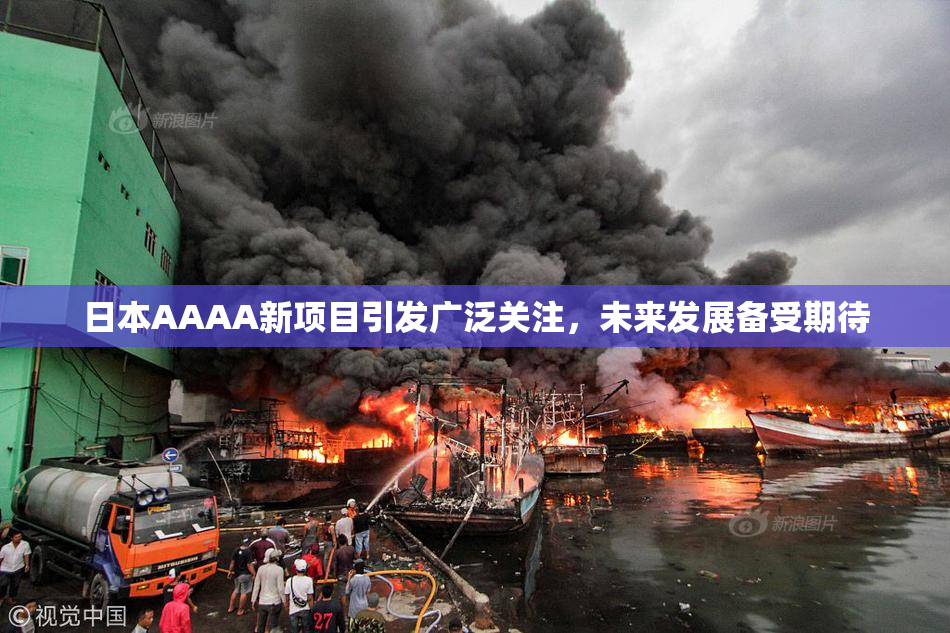 日本AAAA新项目引发广泛关注，未来发展备受期待