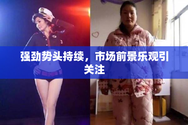 强劲势头持续，市场前景乐观引关注