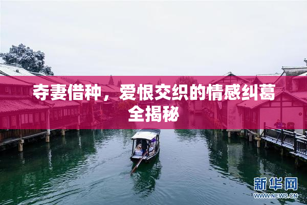 夺妻借种，爱恨交织的情感纠葛全揭秘