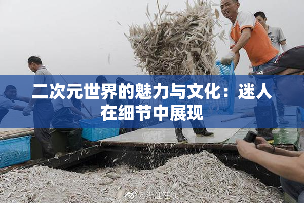 二次元世界的魅力与文化：迷人在细节中展现