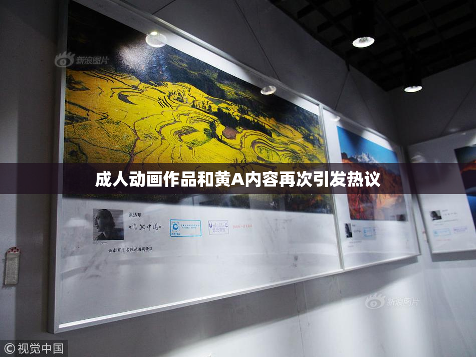 成人动画作品和黄A内容再次引发热议