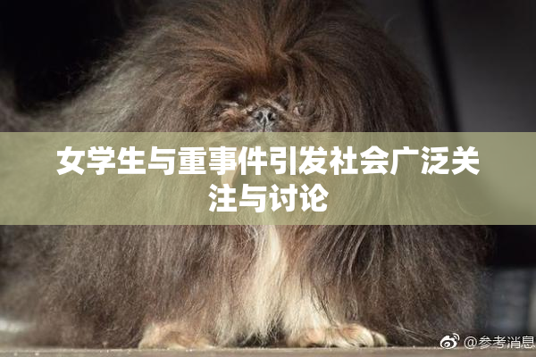 女学生与重事件引发社会广泛关注与讨论