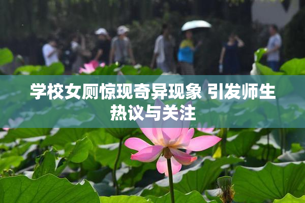 学校女厕惊现奇异现象 引发师生热议与关注