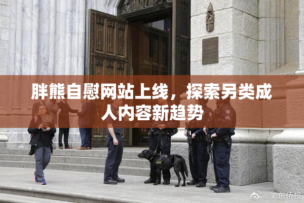 胖熊自慰网站上线，探索另类成人内容新趋势