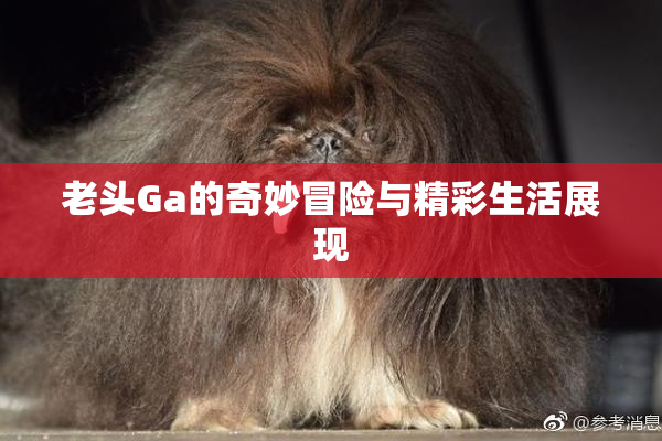 老头Ga的奇妙冒险与精彩生活展现