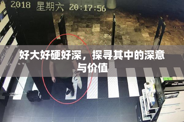 好大好硬好深，探寻其中的深意与价值