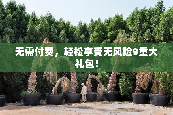 无需付费，轻松享受无风险9重大礼包！