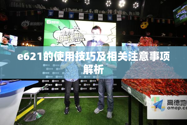 e621的使用技巧及相关注意事项解析