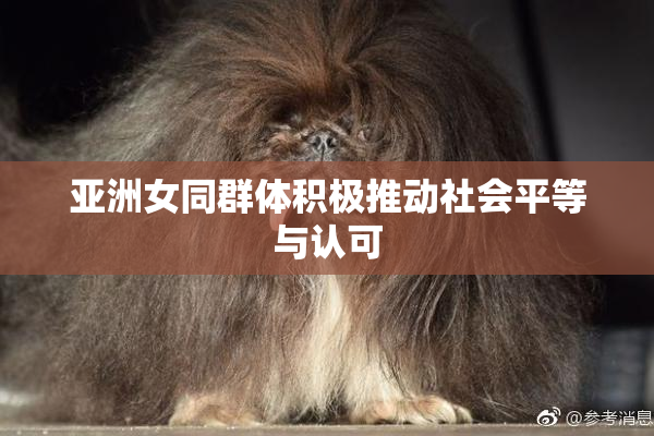 亚洲女同群体积极推动社会平等与认可