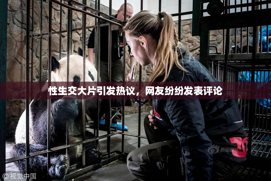 性生交大片引发热议，网友纷纷发表评论