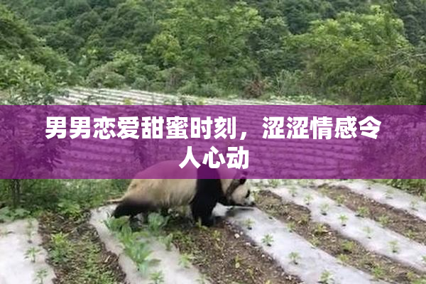 男男恋爱甜蜜时刻，涩涩情感令人心动