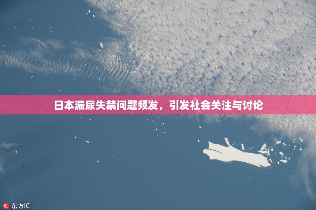 日本漏尿失禁问题频发，引发社会关注与讨论