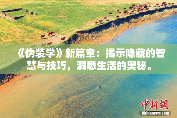 《伪装学》新篇章：揭示隐藏的智慧与技巧，洞悉生活的奥秘。