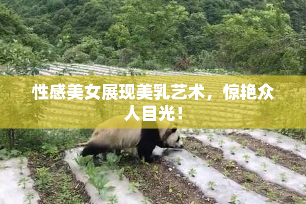 性感美女展现美乳艺术，惊艳众人目光！