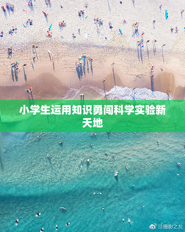 小学生运用知识勇闯科学实验新天地