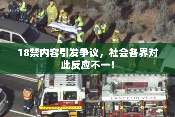 18禁内容引发争议，社会各界对此反应不一！
