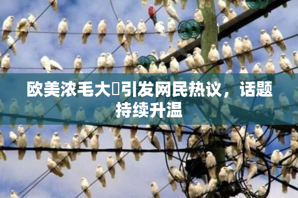 欧美浓毛大泬引发网民热议，话题持续升温