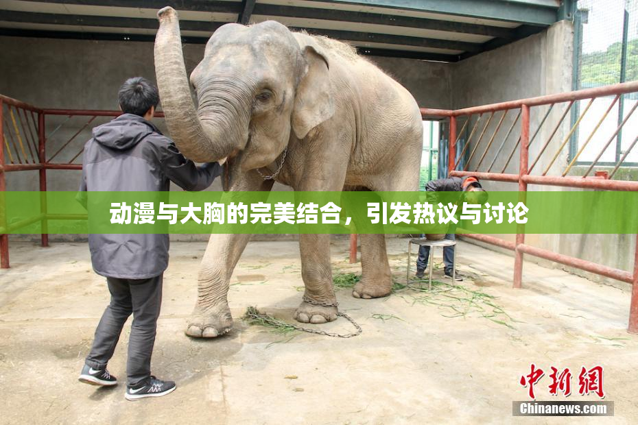 动漫与大胸的完美结合，引发热议与讨论
