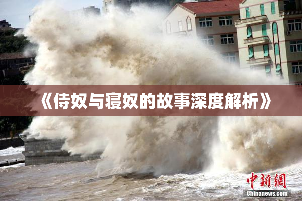 《侍奴与寝奴的故事深度解析》