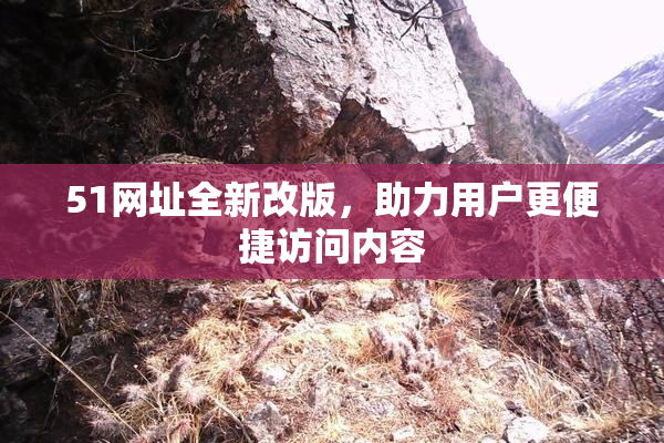 51网址全新改版，助力用户更便捷访问内容