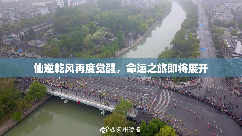 仙逆乾风再度觉醒，命运之旅即将展开