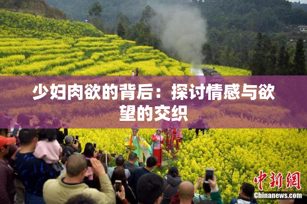 少妇肉欲的背后：探讨情感与欲望的交织