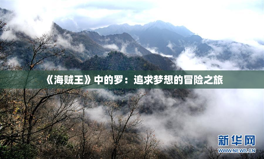 《海贼王》中的罗：追求梦想的冒险之旅